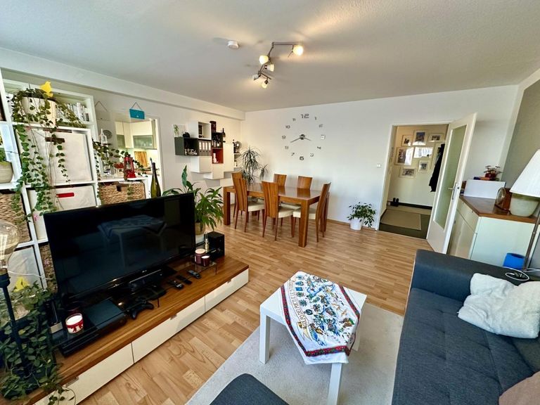 Wohn- und Essbereich