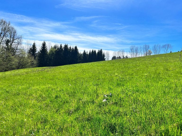 Grundstück