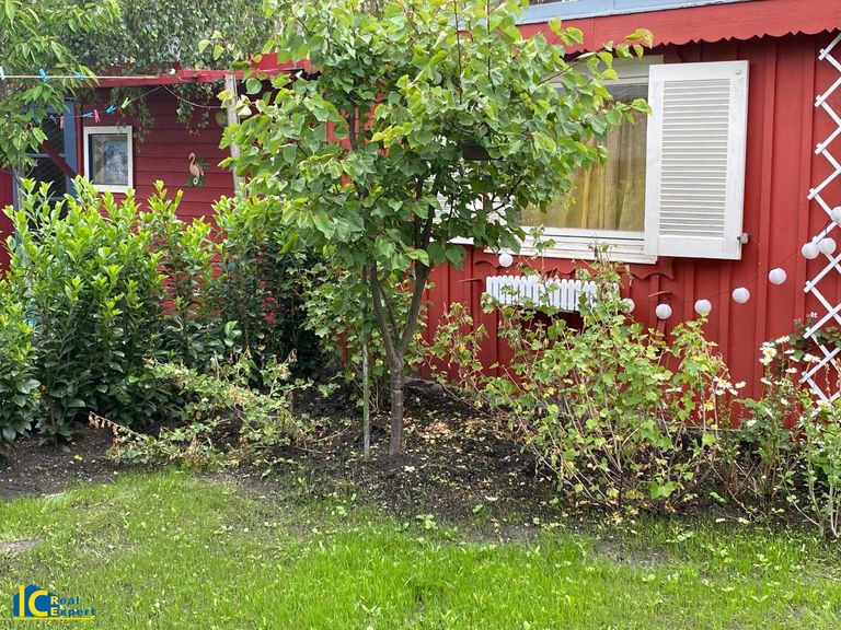 Ein Marillenbaum darf nicht fehlen