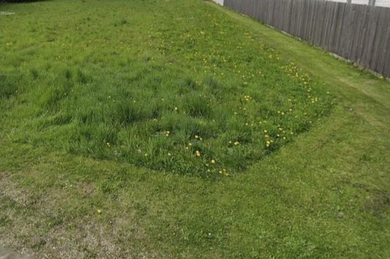 Grundstück Kirchberg