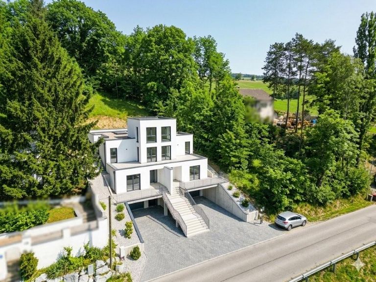 ROHBAU - MODERNES DOPPELHAUS Visualisierung