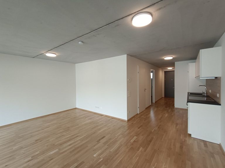 Wohnzimmer_Essbereich_Küche