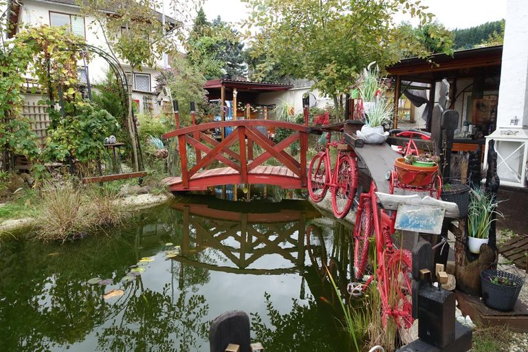 Biotop mit Brücke
