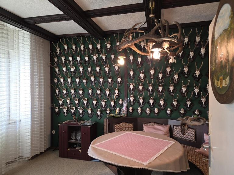 10 2000 EFH Jagdzimmer