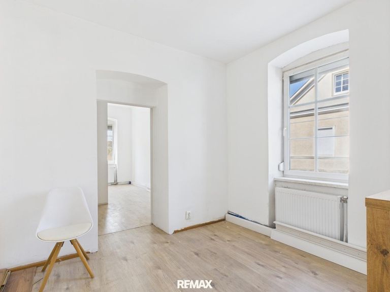 Zimmer W1