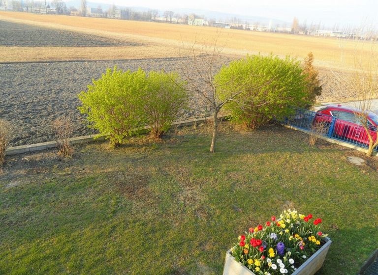 Blick vom Balkon in den Garten: die Blumen sind KI generiert