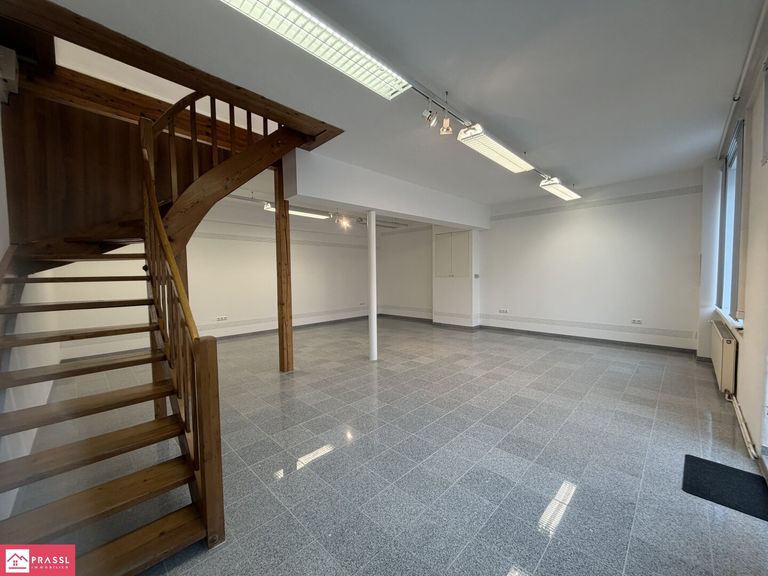 Verkaufs- und Schaufläche EG