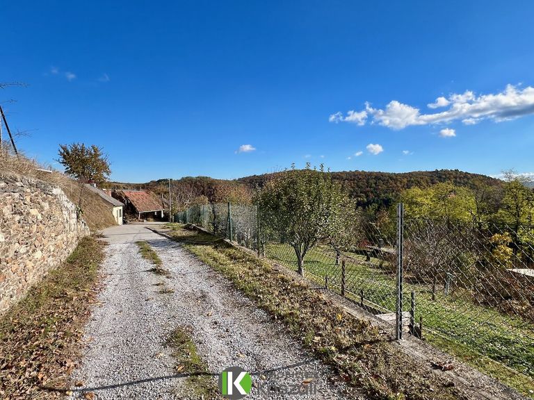 Wandern vor der Haustür