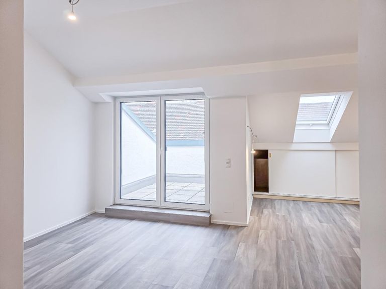 Wohnküche + Dachterrasse