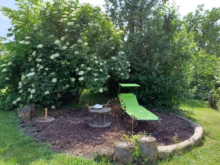 Garteneindrücke Sommer (5)