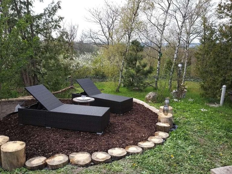 Garteneindrücke Sommer (2)