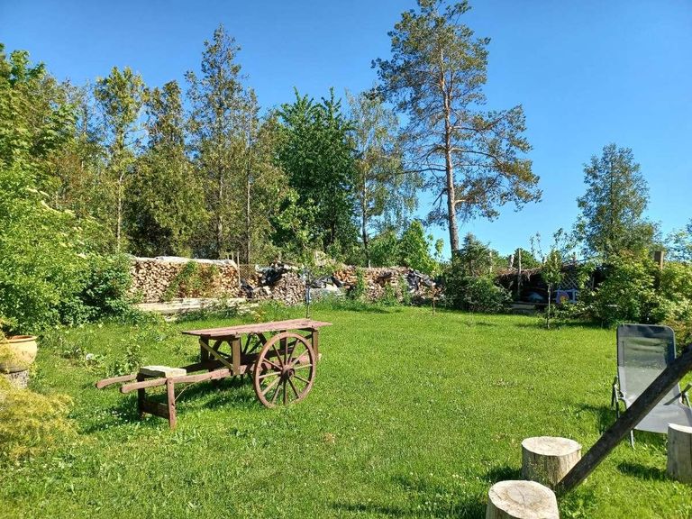 Garteneindrücke Sommer (3)