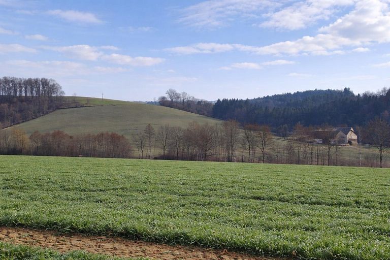 landw. Grundstück (1)