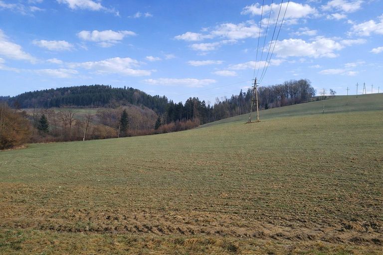 landw. Grundstück (2)