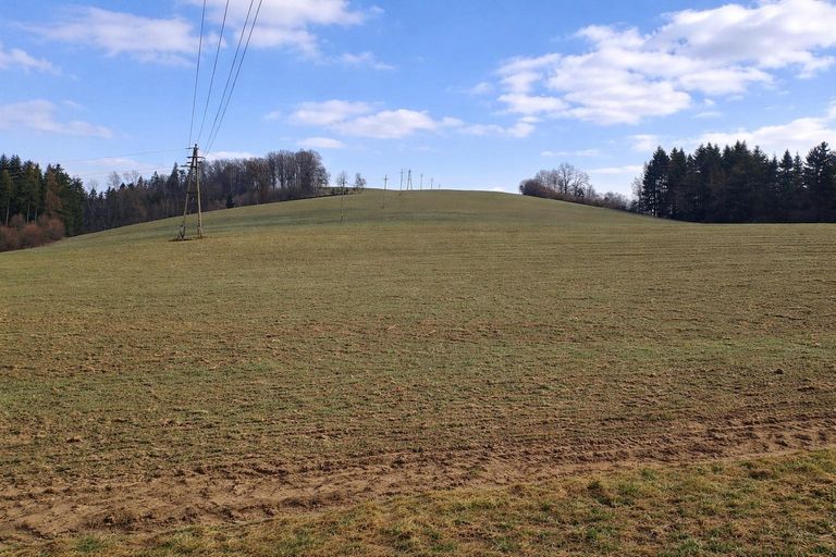 landw. Grundstück (3)