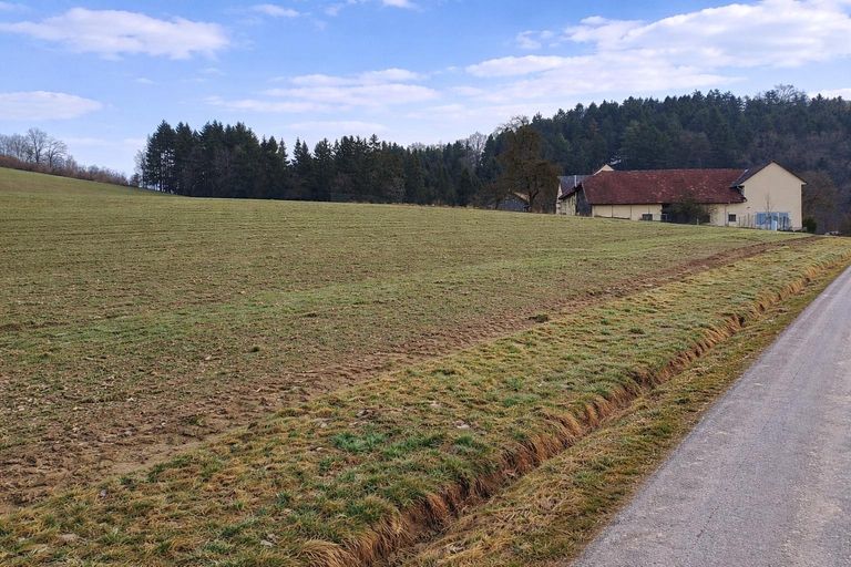 landw. Grundstück (5)