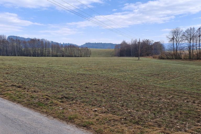 landw. Grundstück (4)