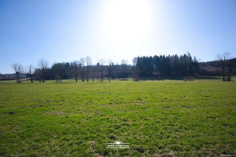 Ausblick DSC_5704