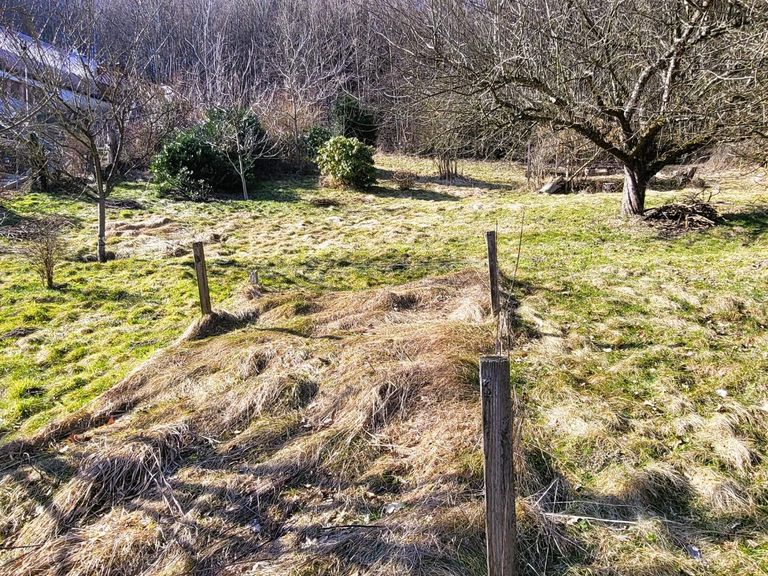 Baugrundstück