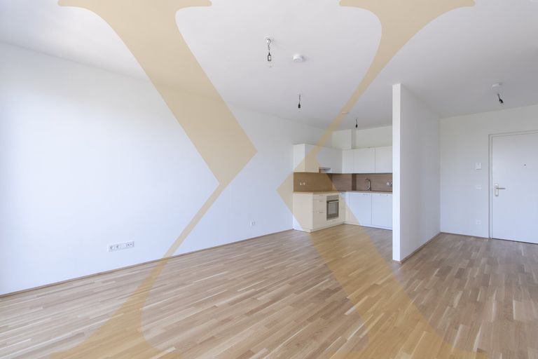 Beispielfoto Wohn-Essbereich