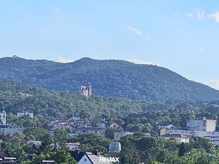 Burg Liechtenstein