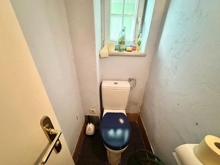 EG WC Nr