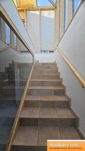 Treppenabgang in den Keller / Welllnessbereich