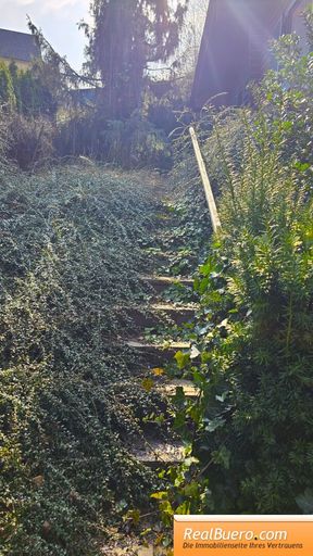 Aufgang zum oberen Eingang des Hauses