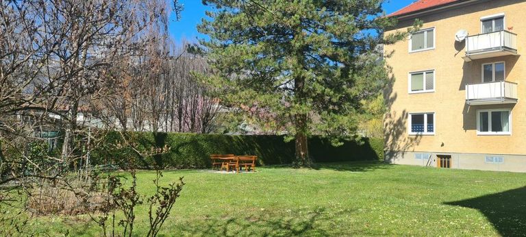 Gemeinsamer Garten