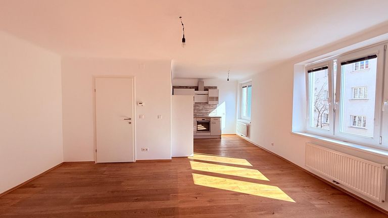 Wohnraum und Küchenzeile