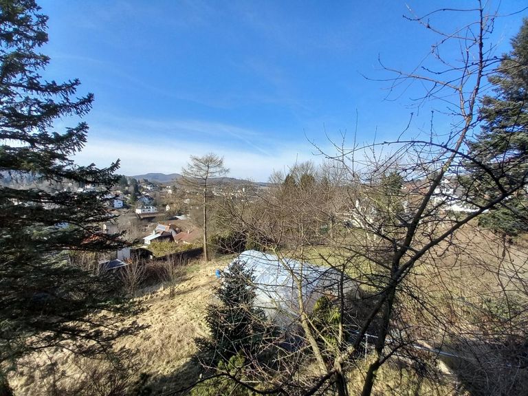 Ausblick