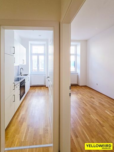 Blick Küche und Zimmer