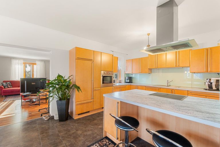 Offene Wohnküche (1)