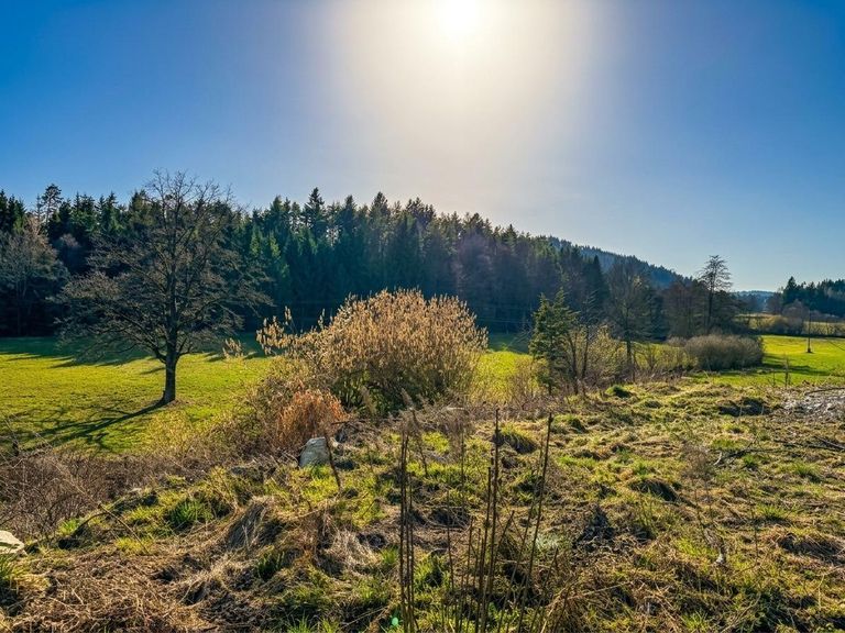 Velden-Handy-15