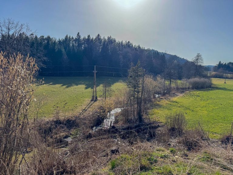 Grundstück 1 Süd-West Bach