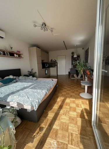 Wohn-/Ess-/Schlafzimmer