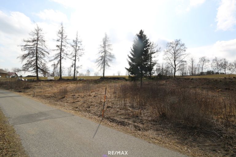 Ansicht von der Straße