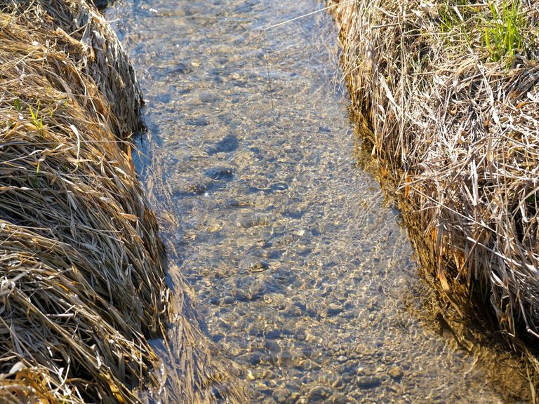 Natur rundum