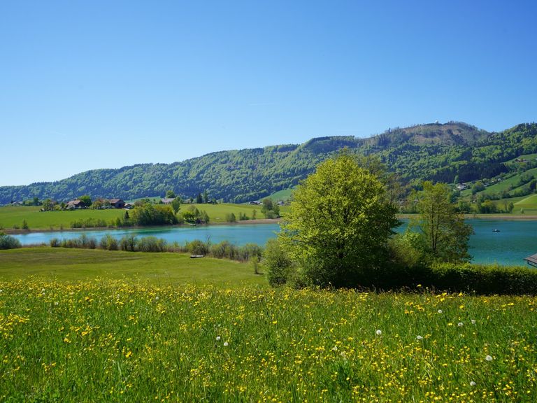 Seenähe