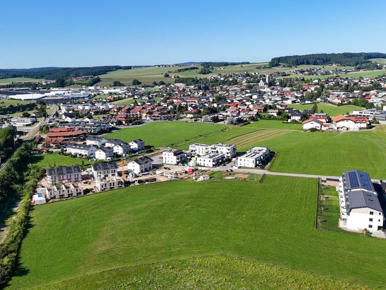 Am freien Feld