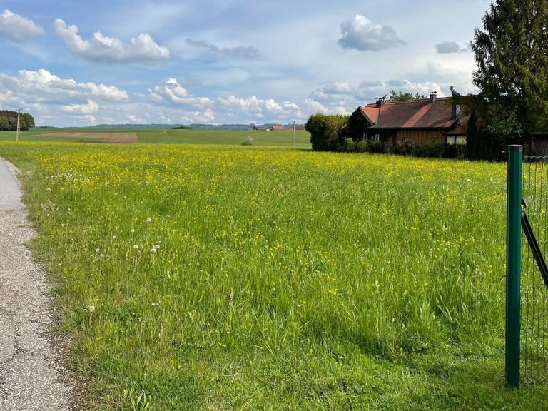 Grundstück von der Zufahrt