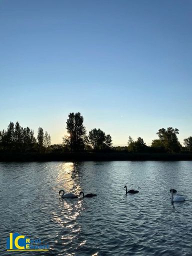 Impressionen von der Donau