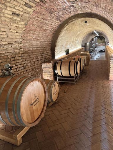 Kellerröhre Fässer