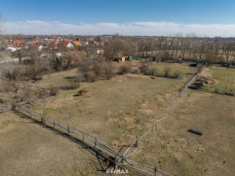 Grundstück - hinterer Bereich