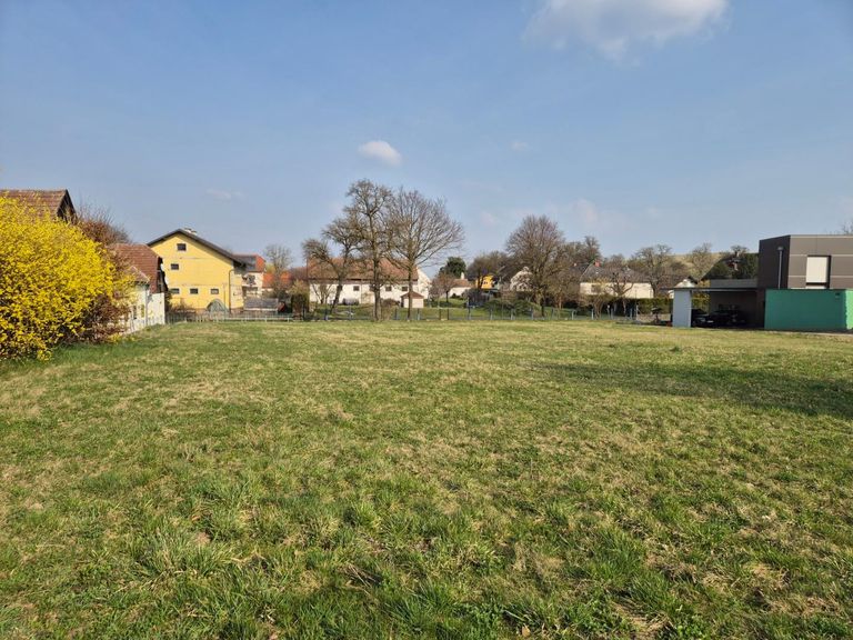 Blick nach Norden
