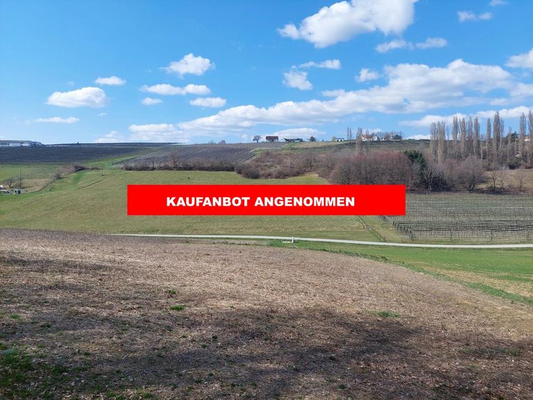 KAUFANBOT ANGENOMMEN