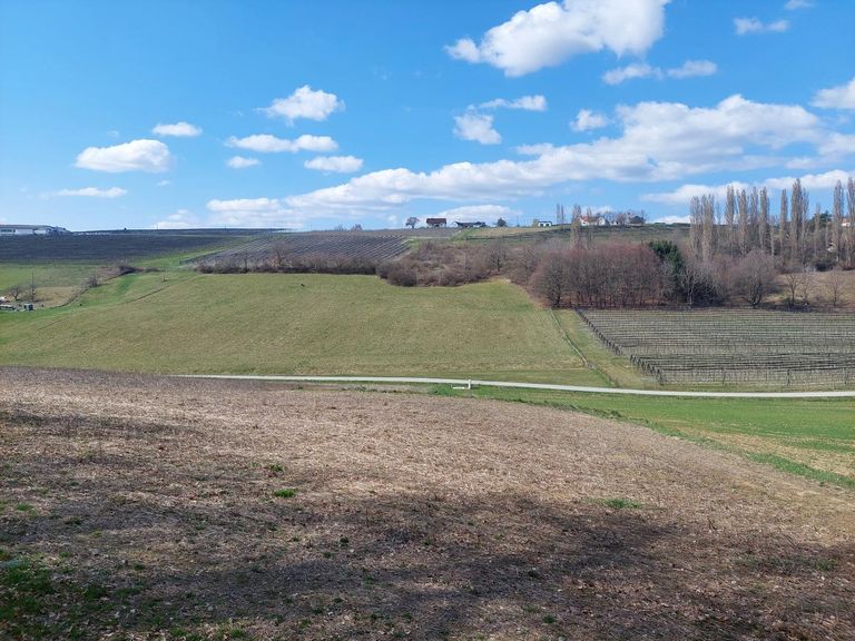 große Liegenschaft in leichter Hanglage