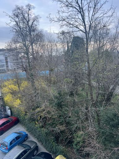 Blick von der Loggia