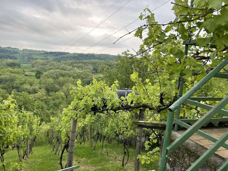 Weingarten