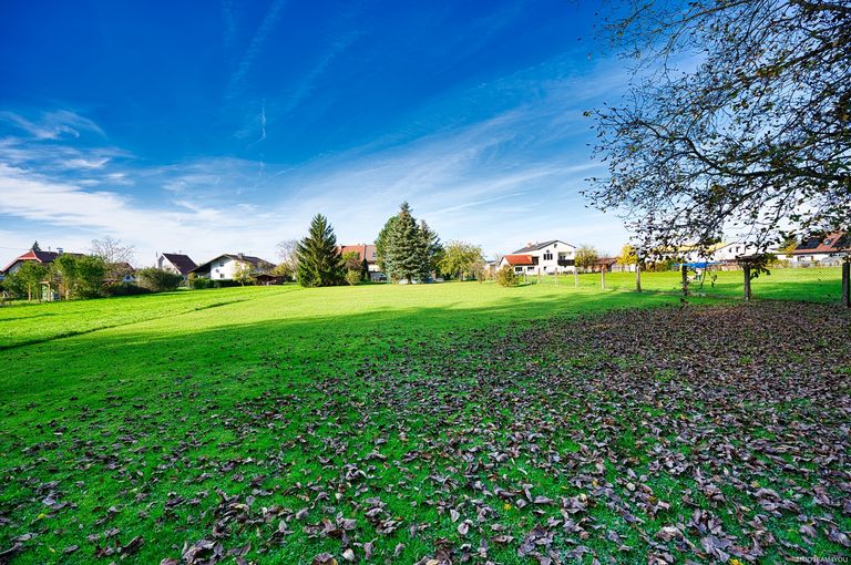 Blick vom Wald DSC_8952